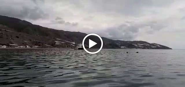 Comida Para Llevar- +Boca 2