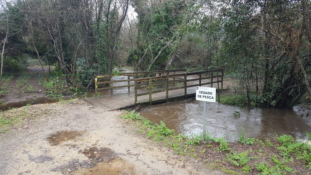 Sendero del rio Muinos