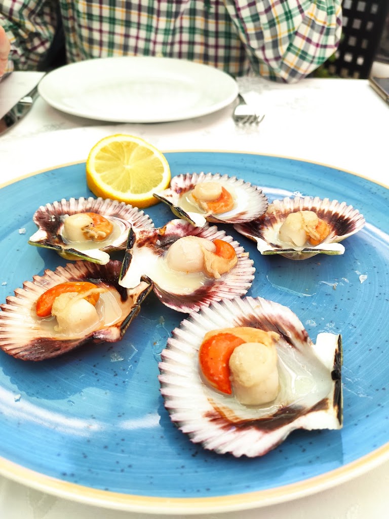 Restaurante Rincon Gallego Egabrense — Pectinidae