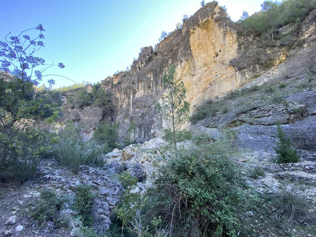Puente Natural la Fonseca