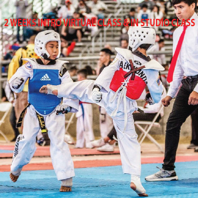  Elite Fitness Taekwondo