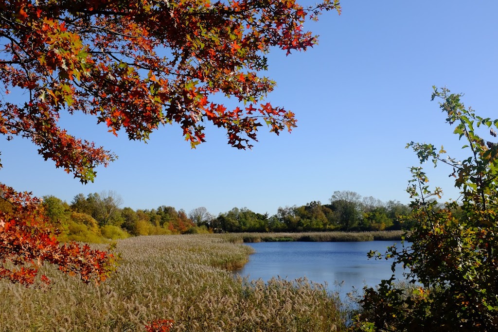 Highland Park