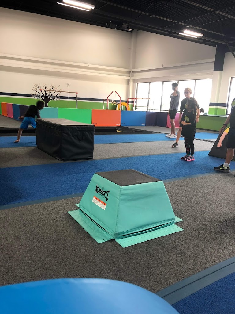  Alpha Omega Gymnastics & Dance Pearland