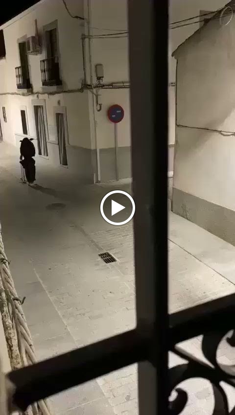 Blas Llergo Diaz — Videos
