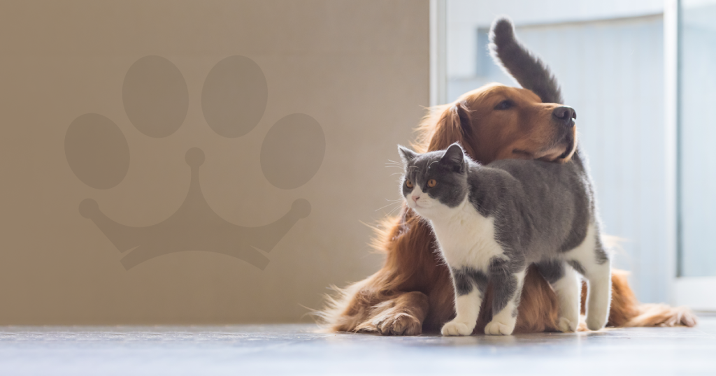 Clinica Veterinaria Camino Real