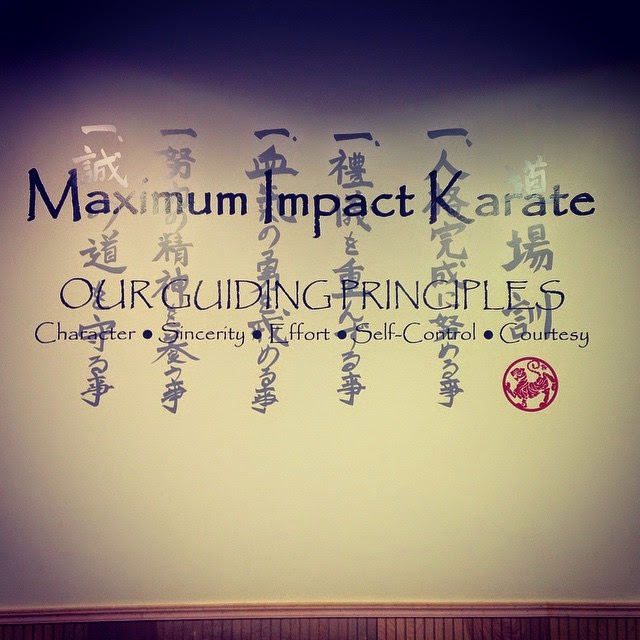  Maximum Impact Karate