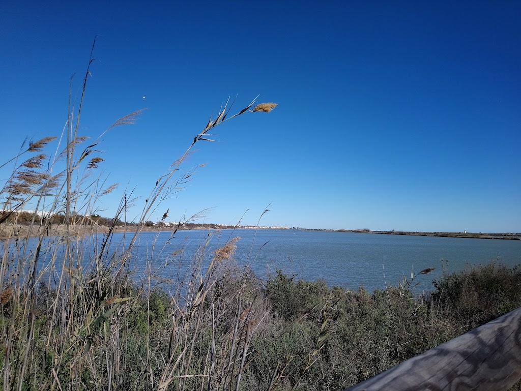 Parque De Los Leones