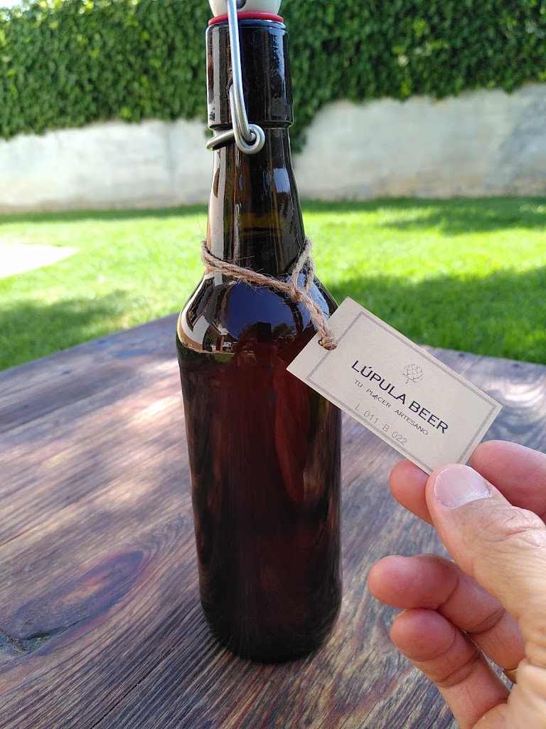 Cerveceria Lupula Beer — Comida y bebida