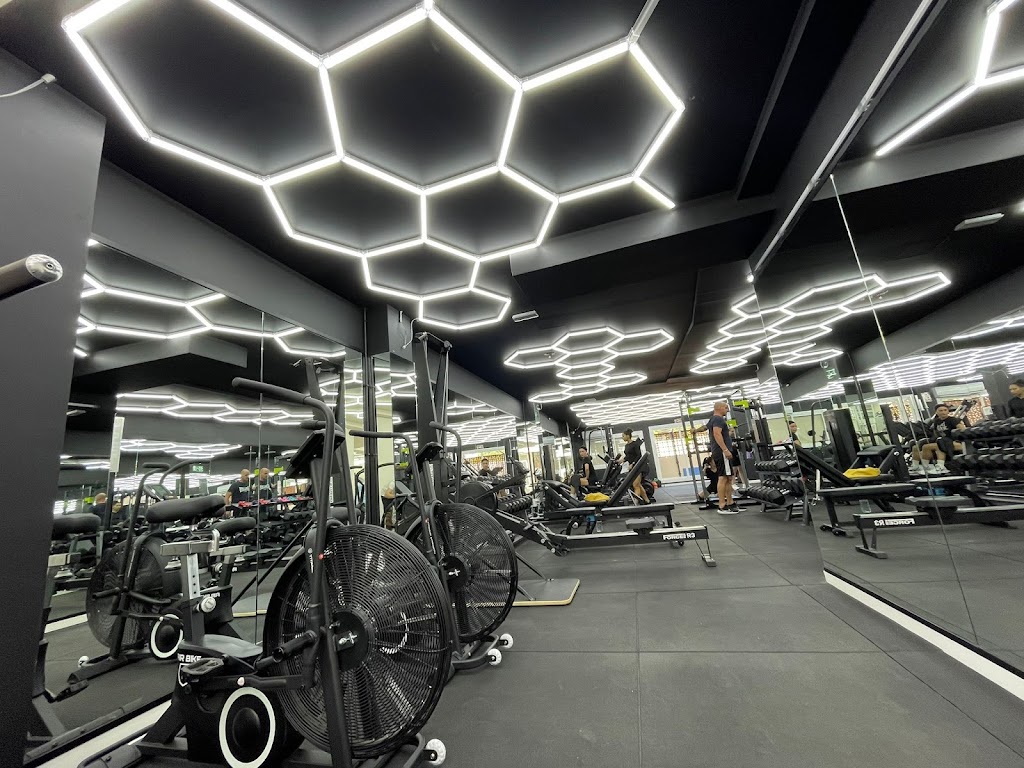 Z Gym Diaz