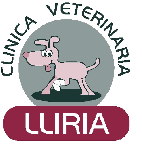 Clinica Veterinaria Lliria — Del propietario