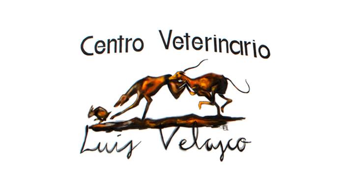 Centro Veterinario Jose Luis Velasco — Del propietario