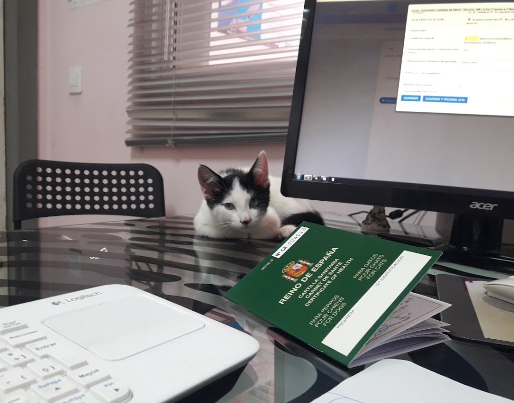 Veter Sana veterinarios — Del propietario