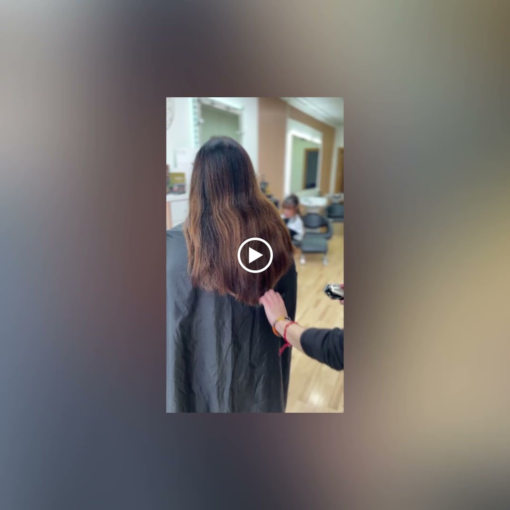 salon belleza aurora — Videos