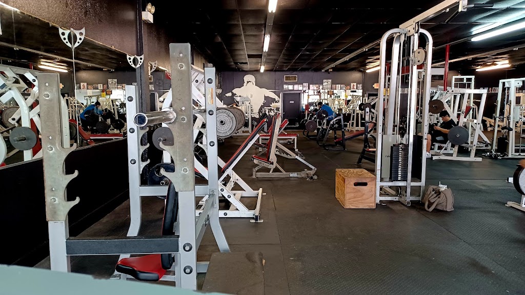  Ironhouse gym rgv