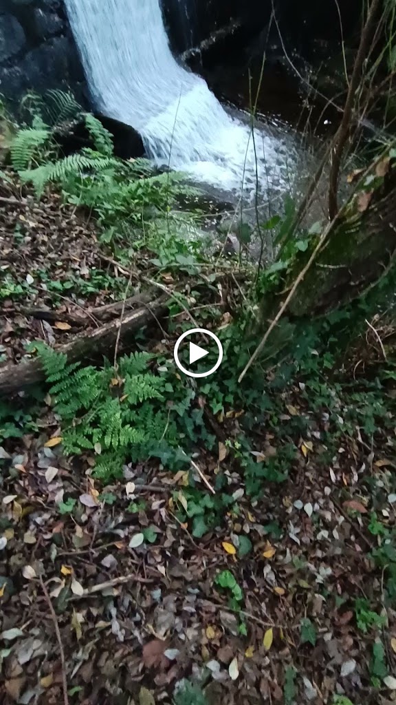 Ruta de Goias — Videos