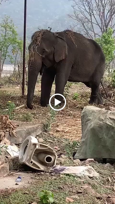 Videos