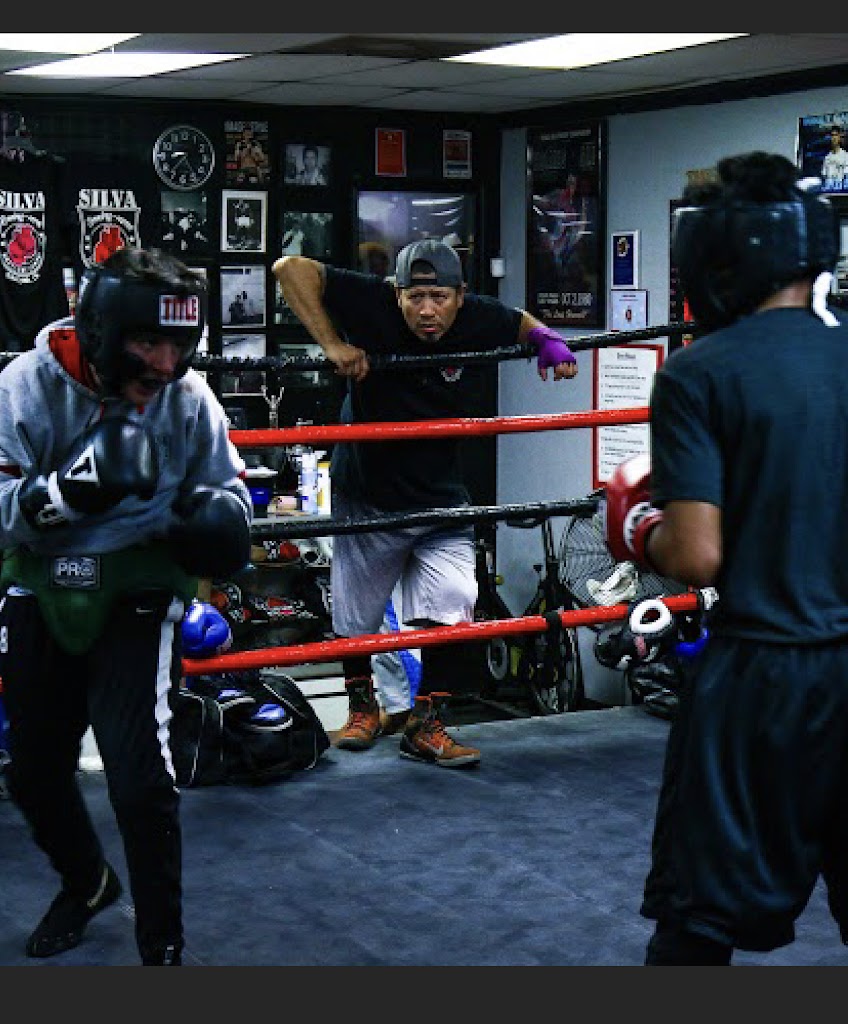  Silva Boxing-MMA