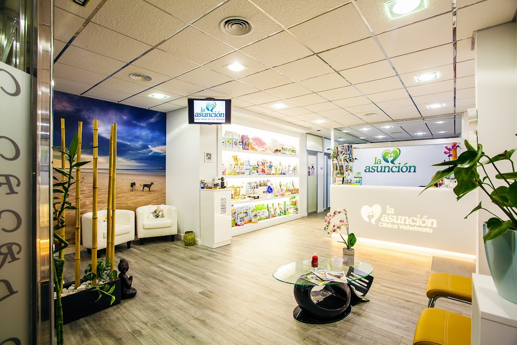 Clinica Veterinaria La Asuncion