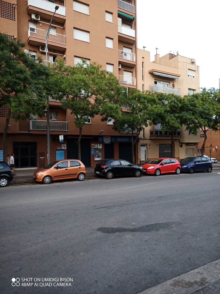 Bosch Car Service Auto Taller Sierra,S.L