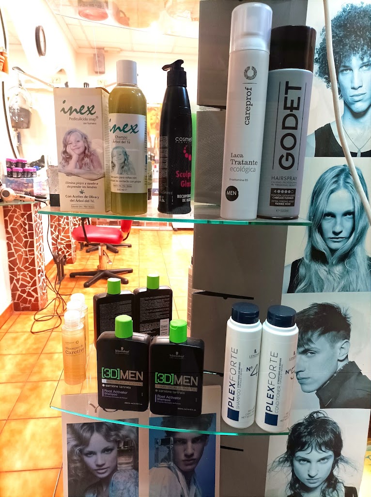 Peluqueria Menecil — Peinado