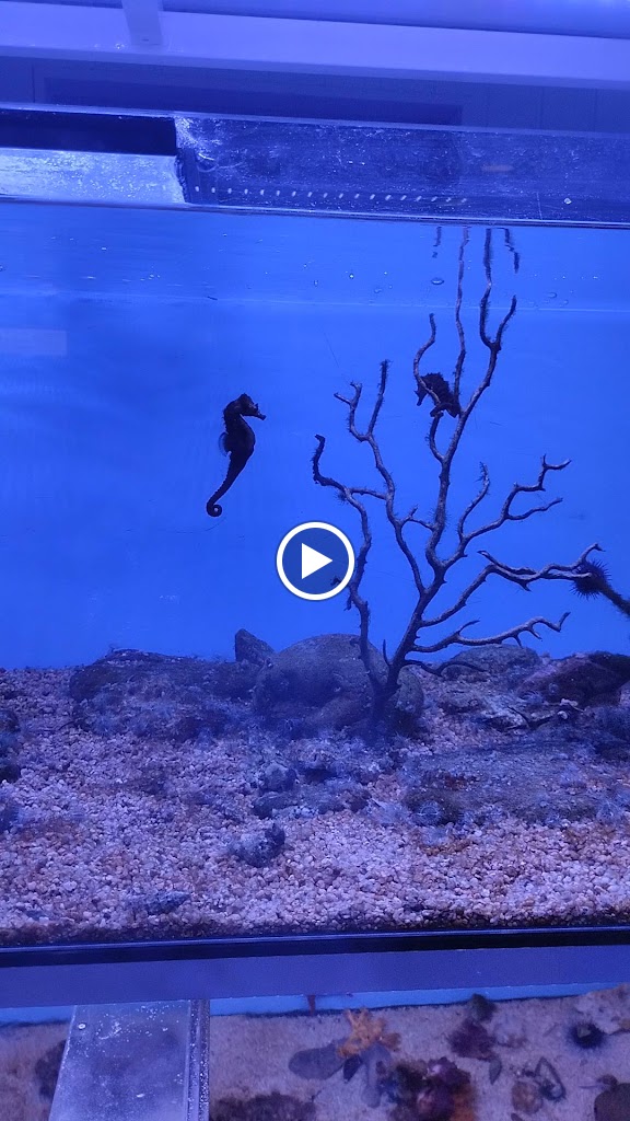 LavaloTodo, Santa Coloma — Videos