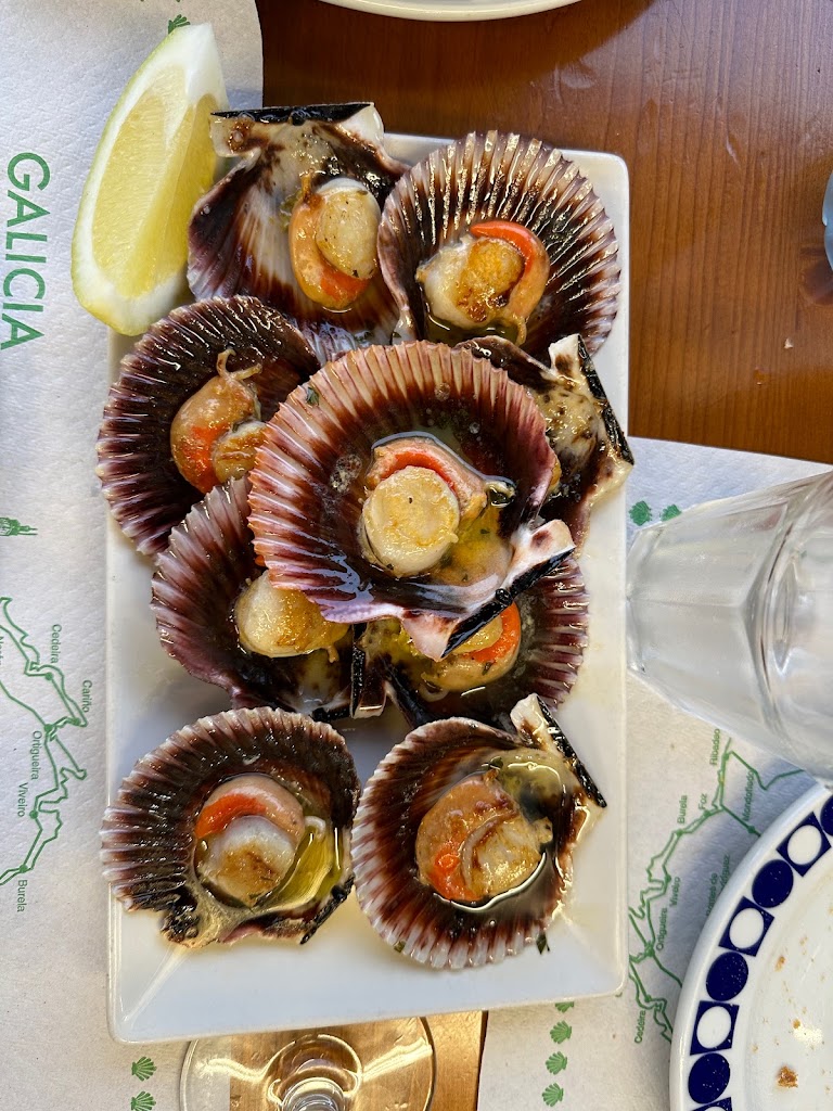 Bodega Vina Pedreira — Pectinidae