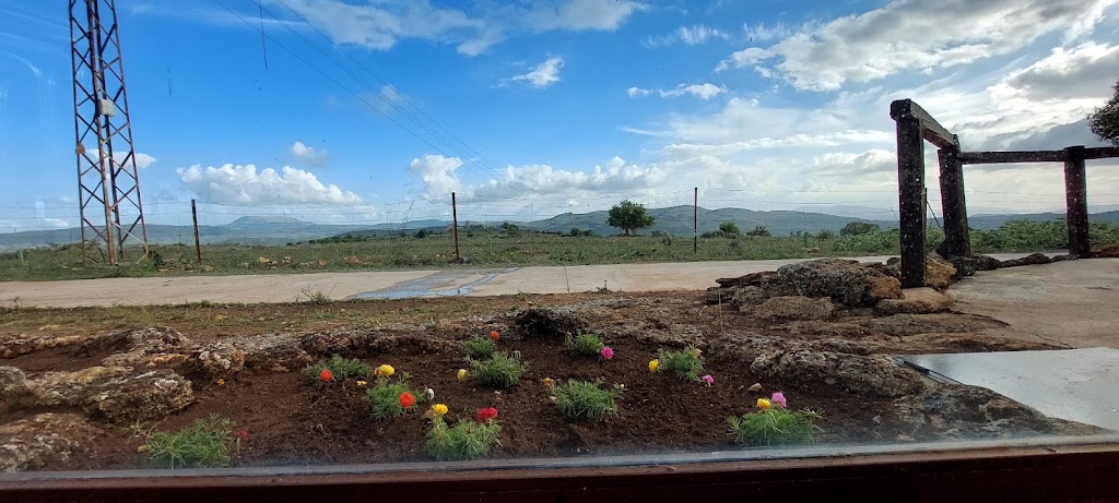 Restaurante "CAMPO DE TIRO" EL VERGEL — Del propietario