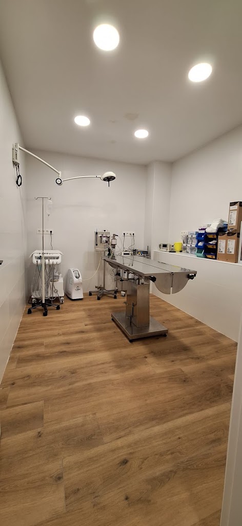 BeneVet Clinica Veterinaria — Del propietario