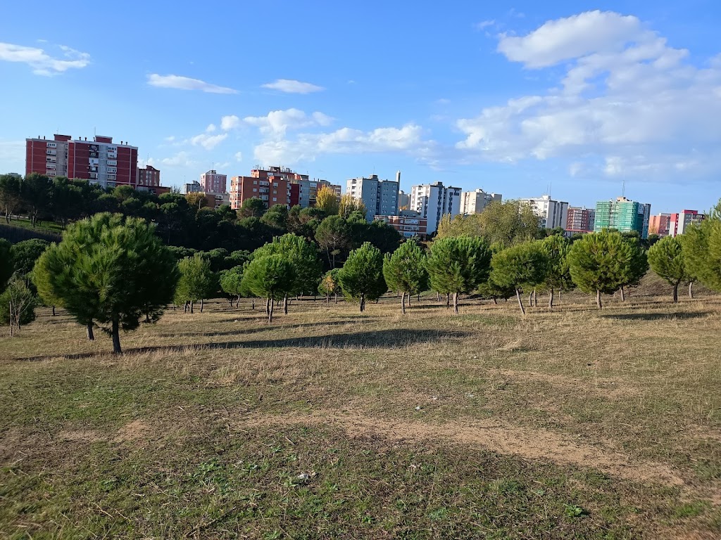 Bicisenda Bosquesur