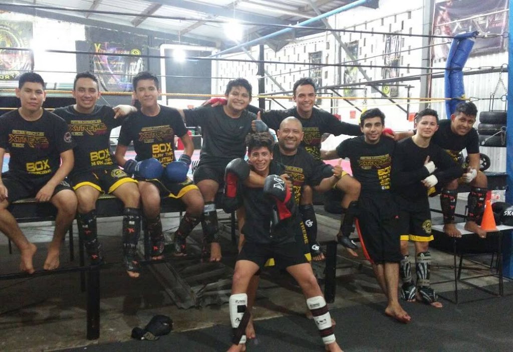 Xtreme sports,artes marciales — Mas recientes