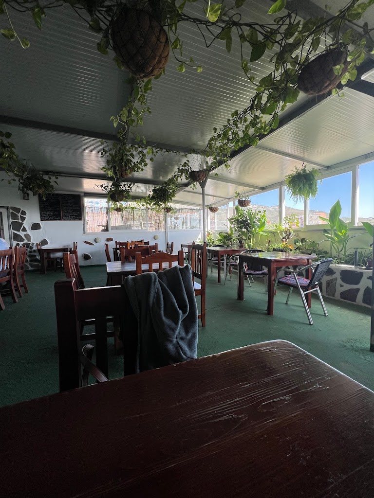 Tasca Puntallana — Ambiente