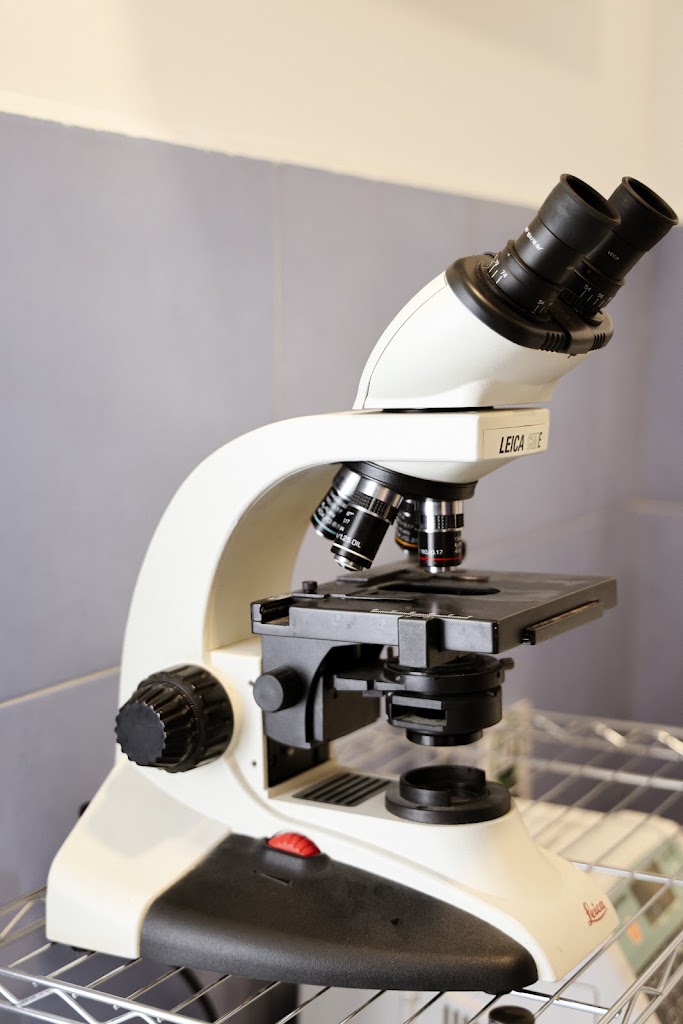 IVET Clinica Veterinaria El Burgo — Del propietario