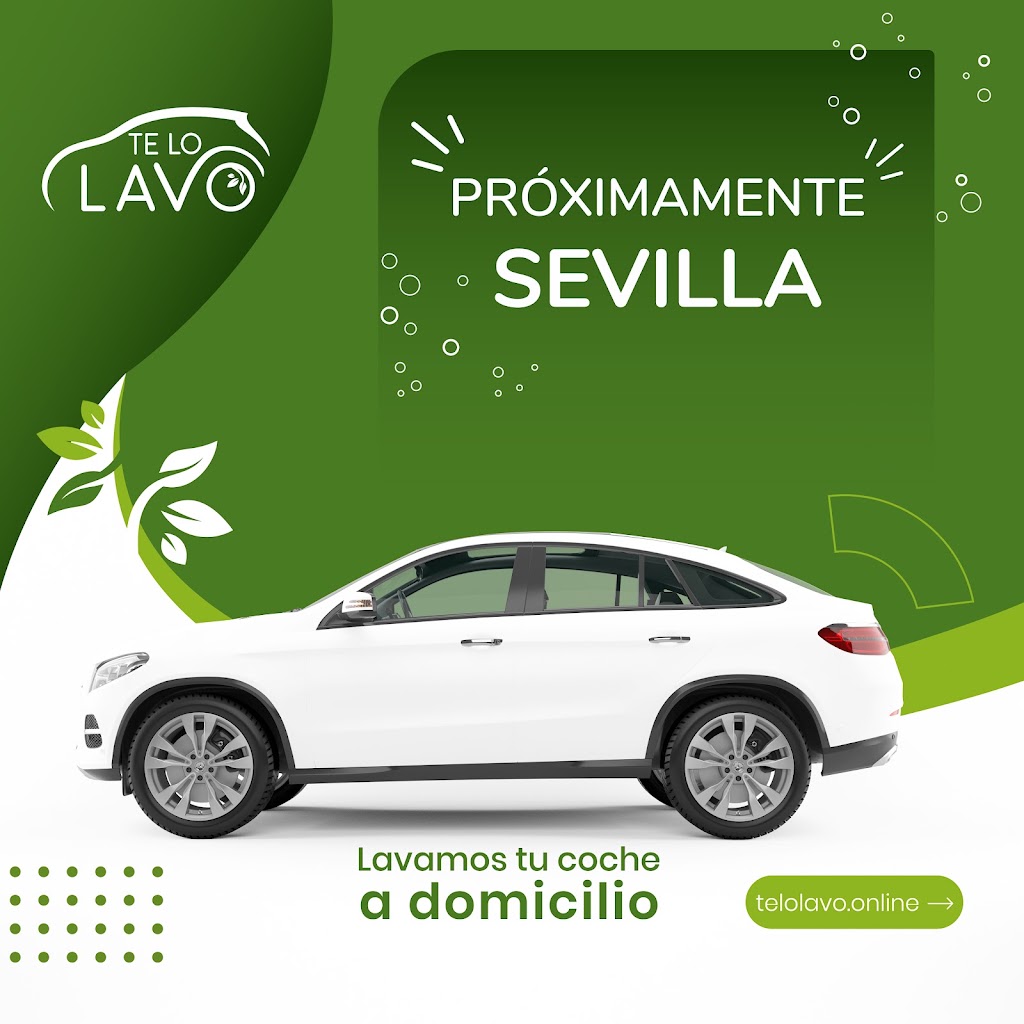 Lavado de Coche - Te Lo Lavo — Del propietario