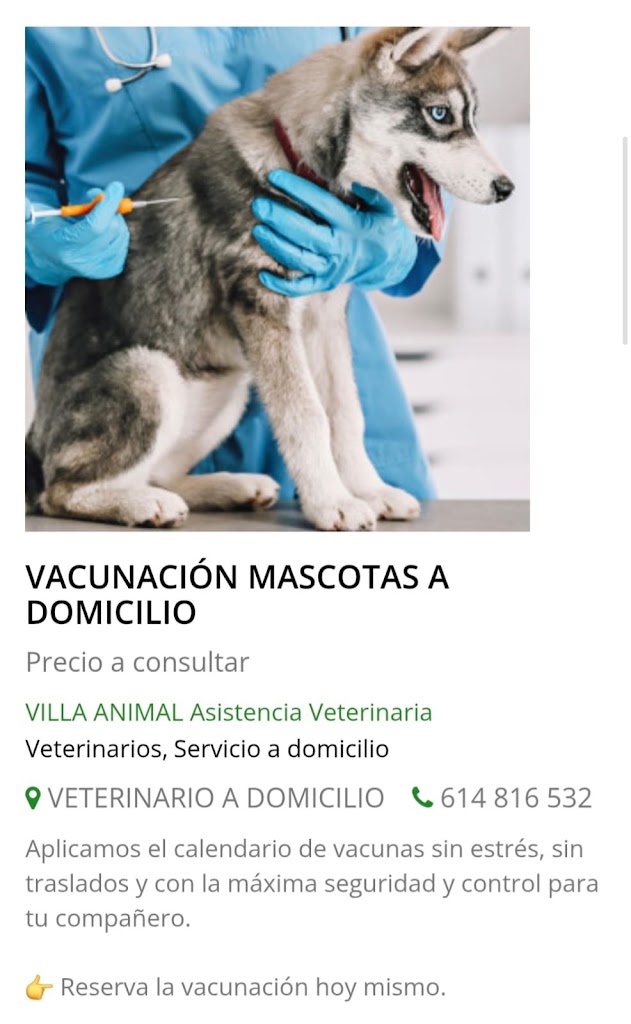 VILLA ANIMAL Asistencia Veterinaria — Perro