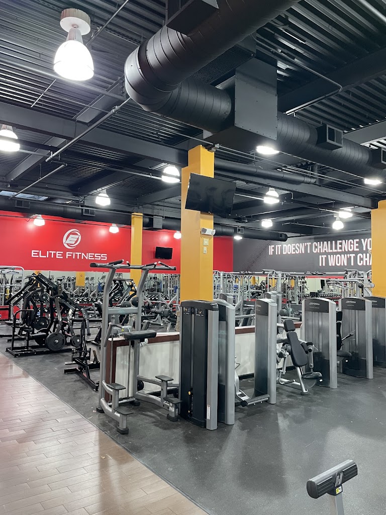  Elite Fitness Club