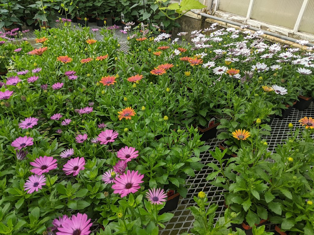 Hrnak's Flowers & Gifts