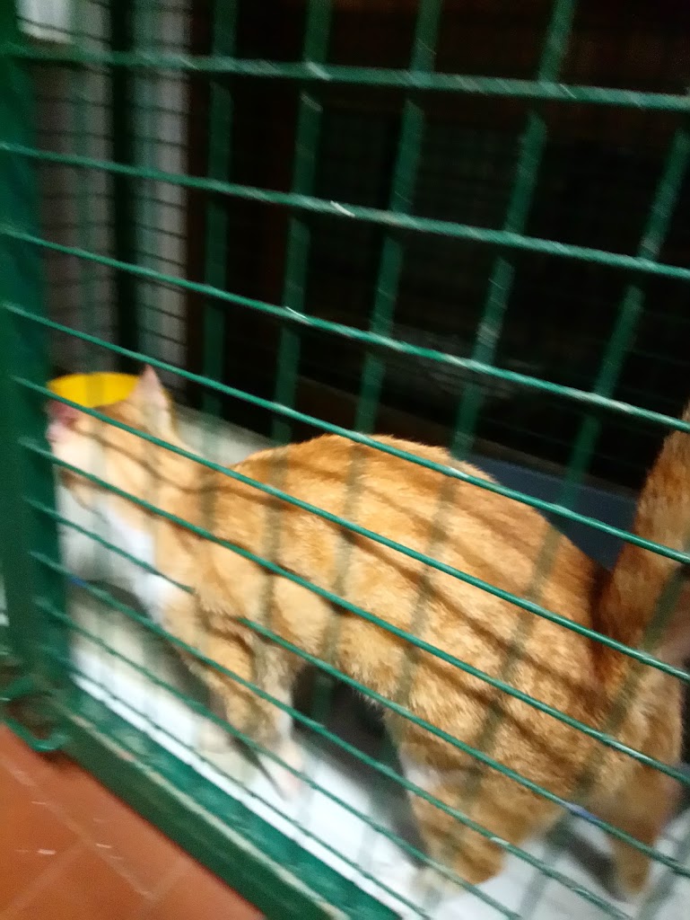 Foto da avaliação