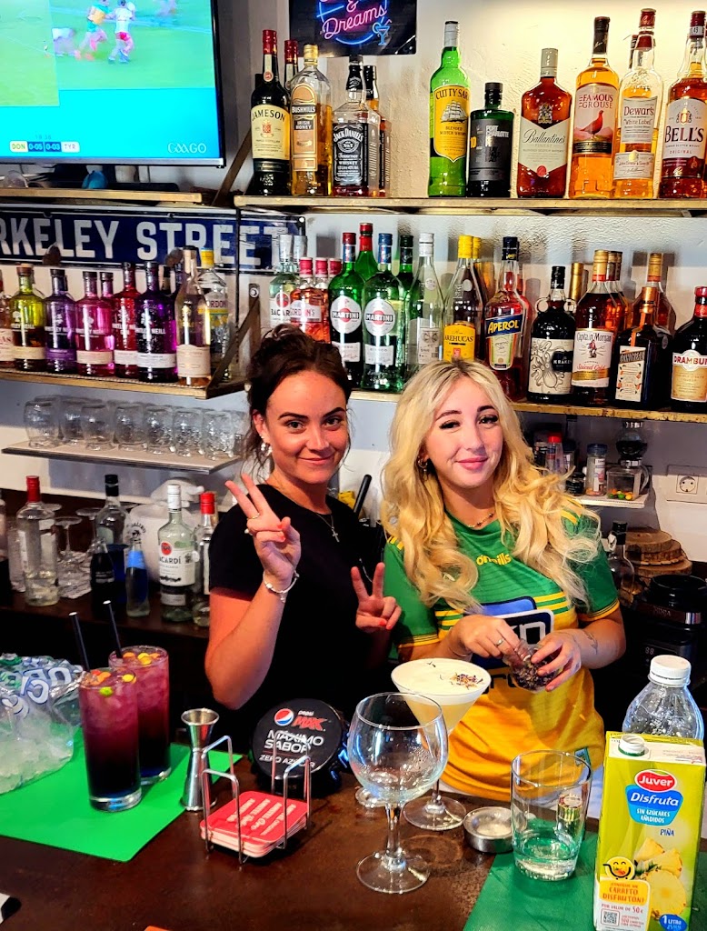 Pub The Irish Viking — Ambiente