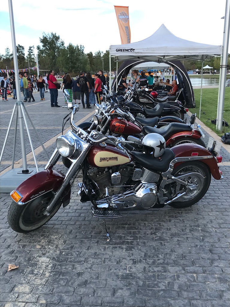 Automobils Tolda S.L. — Del propietario