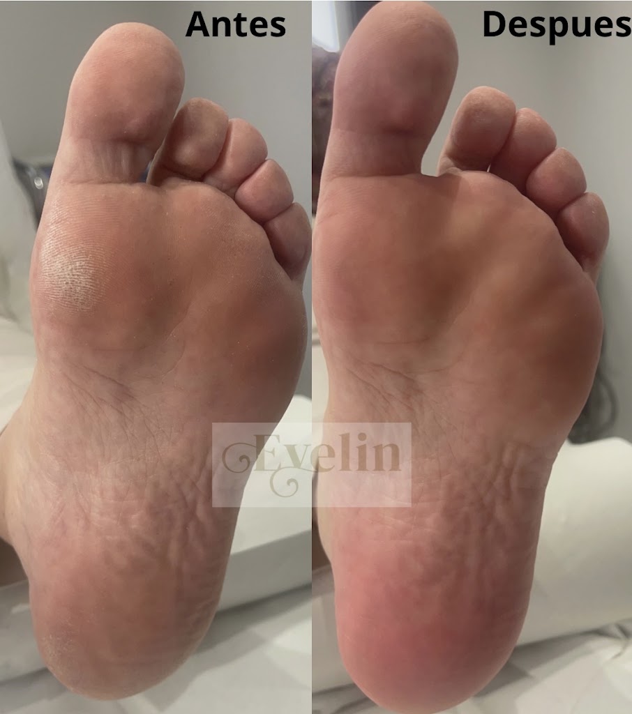 Estetica Evelin — Mas recientes