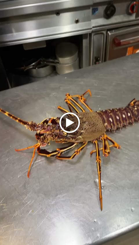 Restaurante Paco Baile — Videos