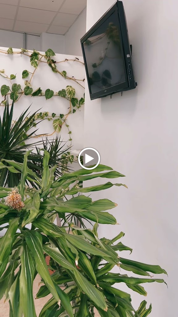Videos
