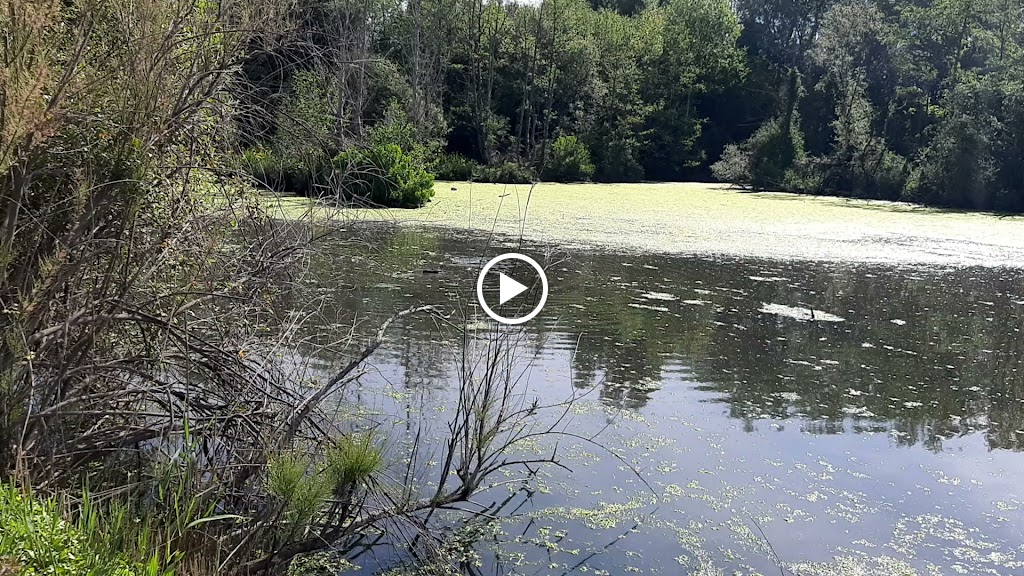 Plaiaundi Campo De Rugby Irun