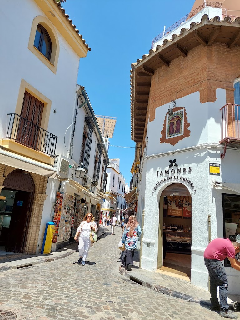 TALLERES ANTONIO MOYA E HIJOS SL