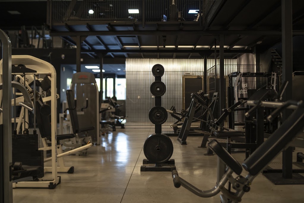 Muscle Aesthetic Society