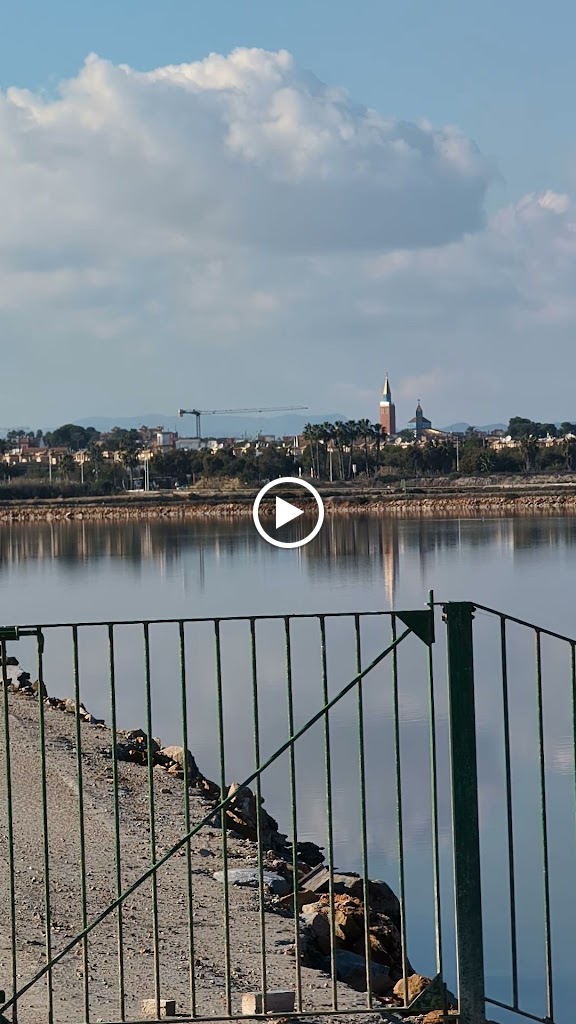 OLVOS DEL MEDITERRANEO