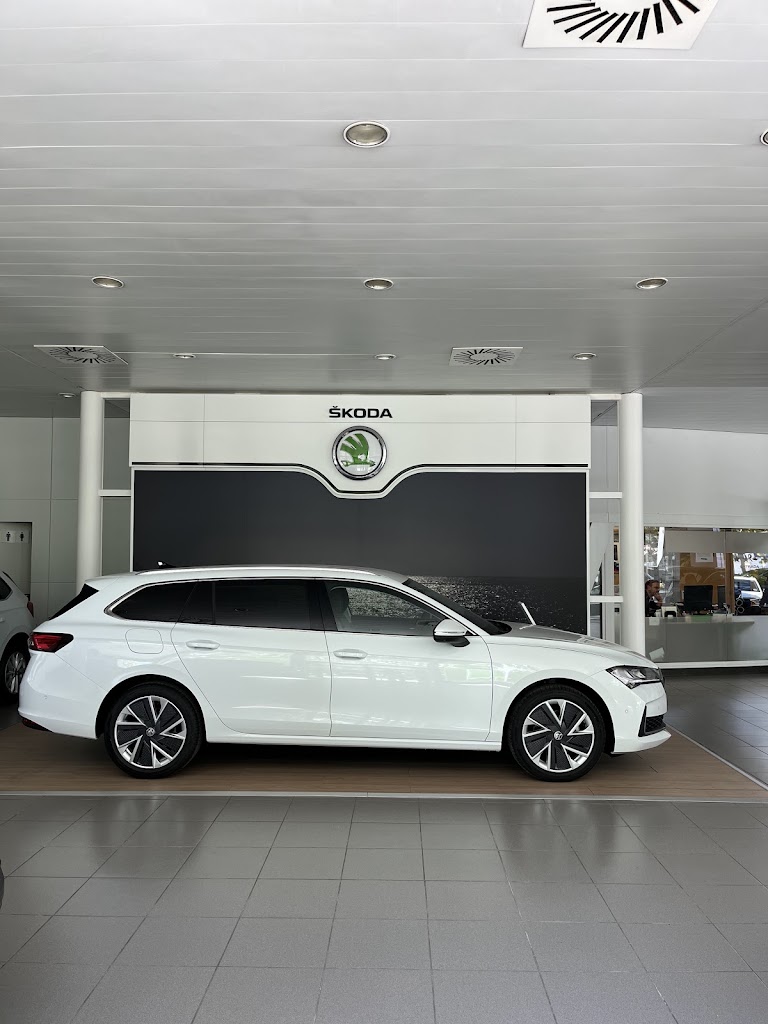Concesionario Skoda Belabia Motor Oficial en Vitoria-Gasteiz — Interior