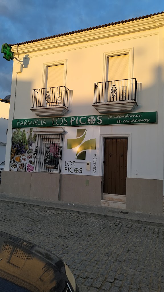 Farmacia Picos (Lda. Ana Maria Alfonso)