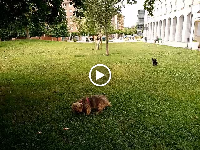 Paseo de los Enamorados, 12 Parking — Videos