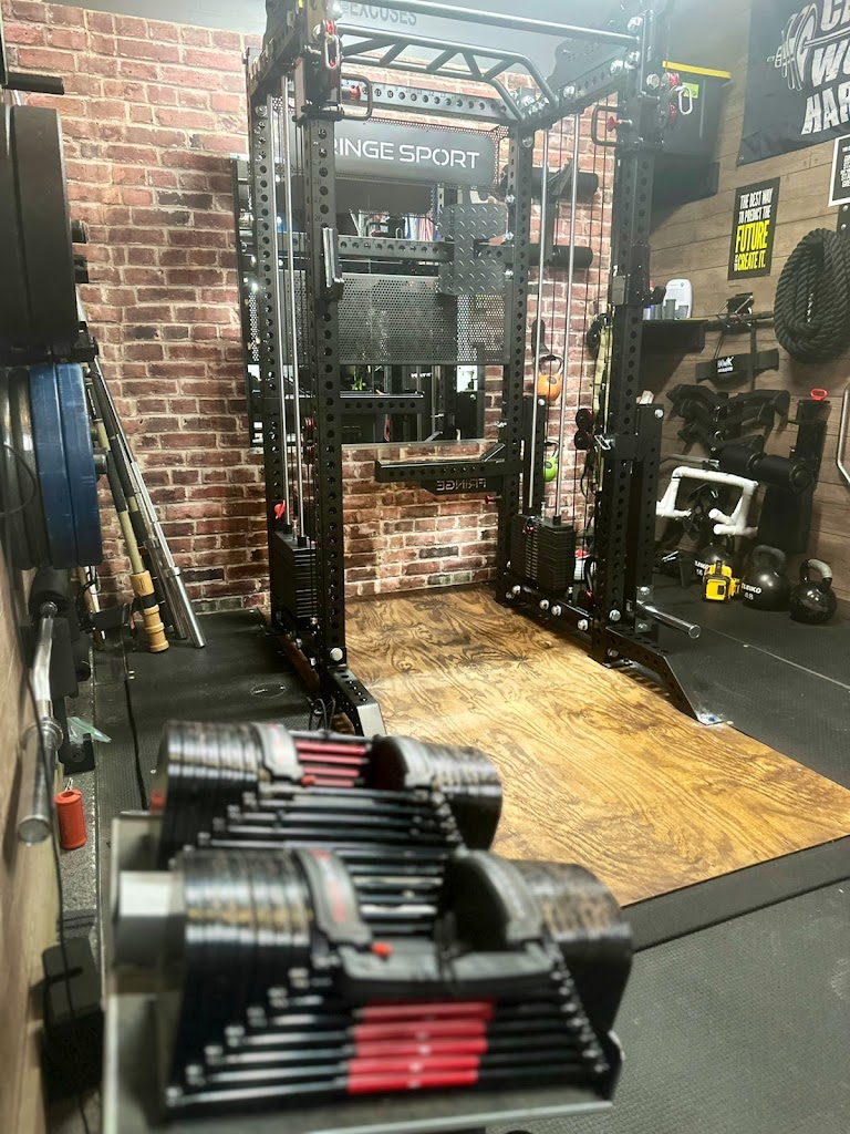  The Maize Sports Trainer